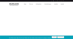 Desktop Screenshot of buemlein.com